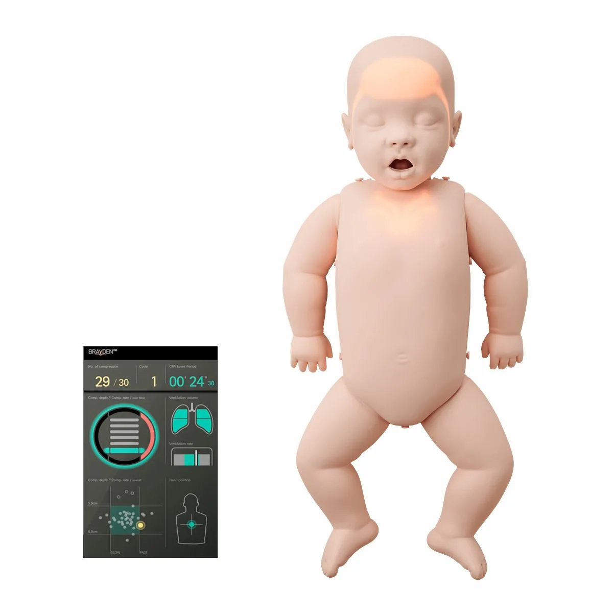 Fantom niemowlęcia Brayden Baby PRO