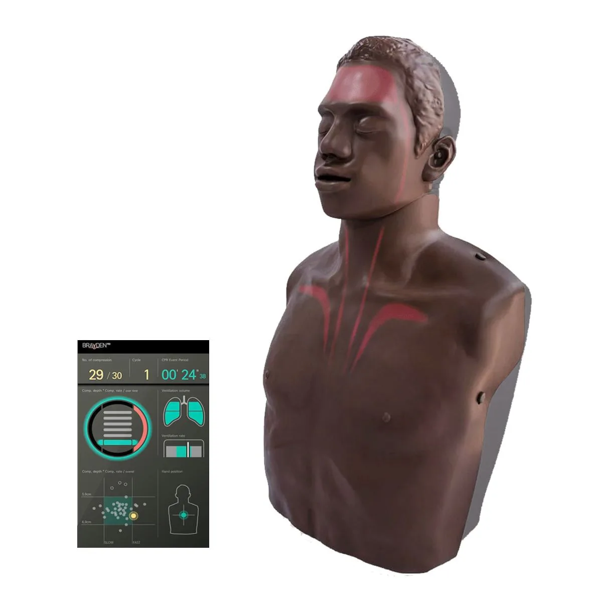 Fantom Brayden OBI PRO