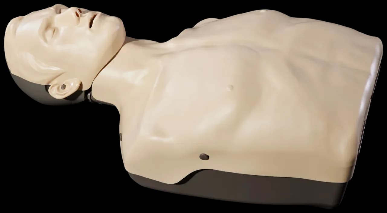 Fantom Brayden Adult Basic