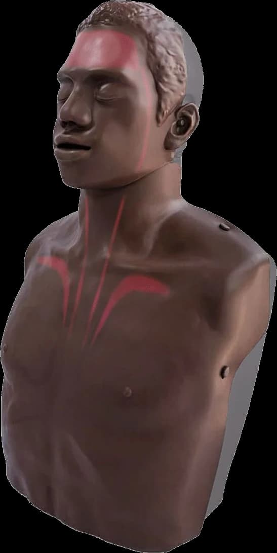 Fantom Brayden OBI PRO